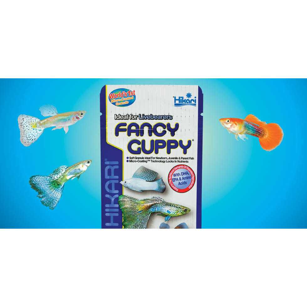 Guppy Fish Food O95793