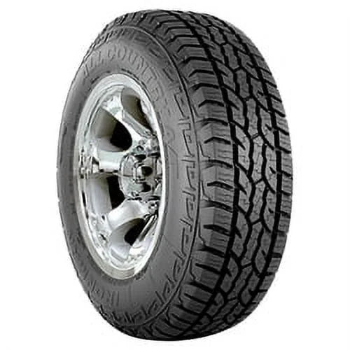 All Season Tire Z5339
