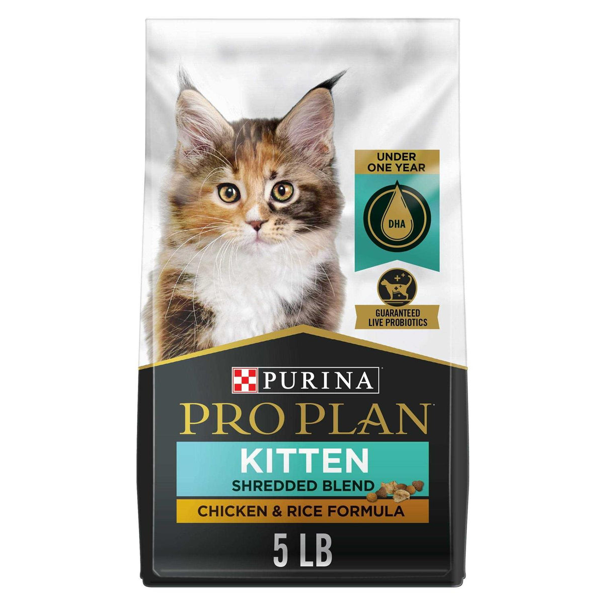 Dry Kitten Food Z1663