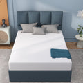 6 Inch Memory Foam Mattress Medium Firm Twin M120402