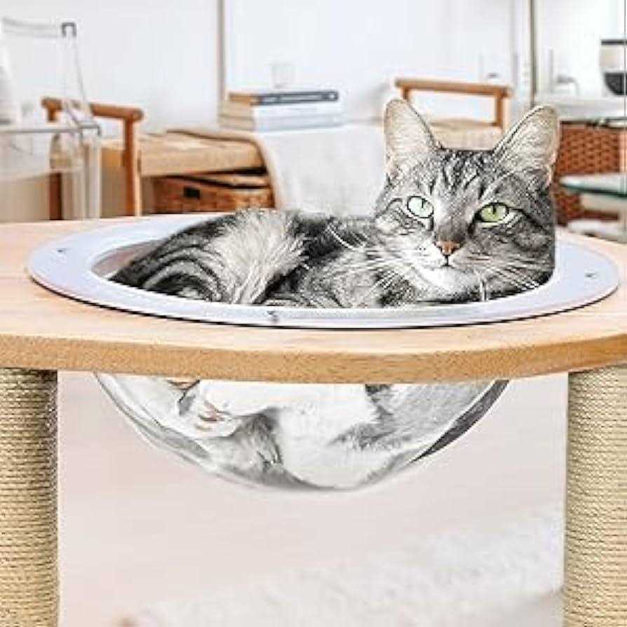 Acrylic Dome Dog Window for Fence Q274