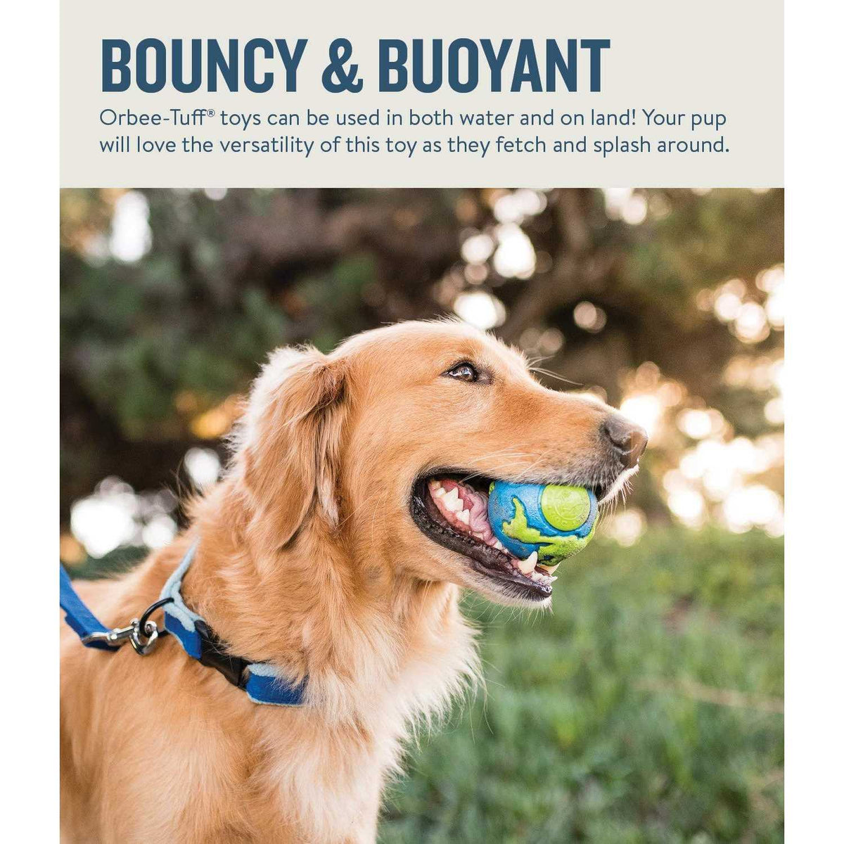 Blue Dog Ball D152305