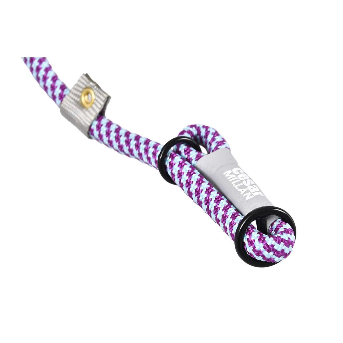 2-in-1 Slip Collar Dog Training Lead & Collar J7477