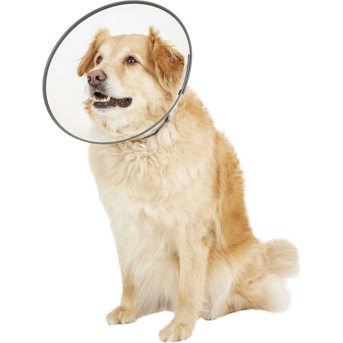 E-Collar XL Z112183