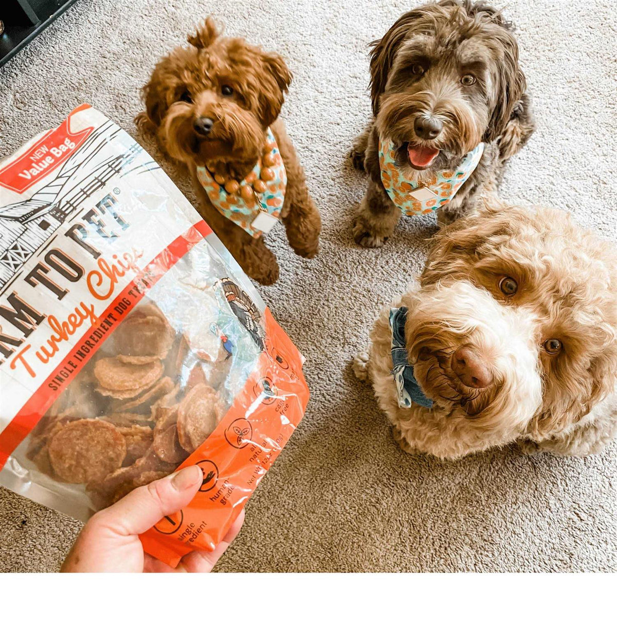 Turkey Chips Dog Treats A520