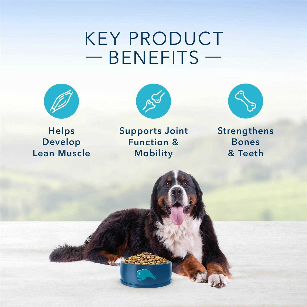 Natural Chicken and Brown Rice Dry Dog Food A59235