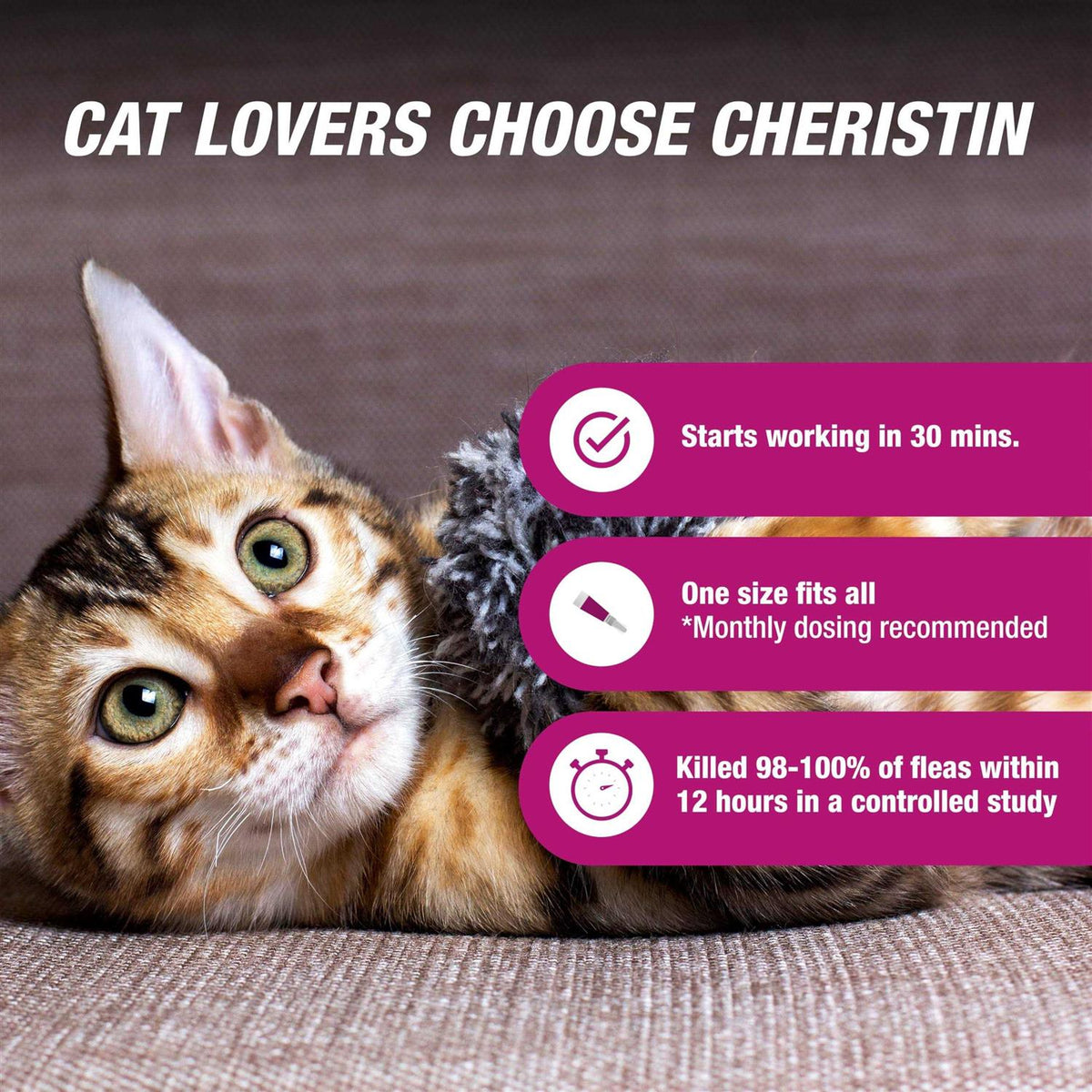 Flea Treatment for Cats X361