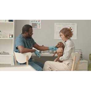 Calming Supplement for Dogs & Cats A6401