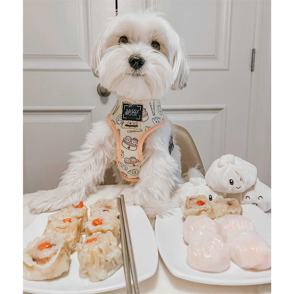 Reversible Dog Harness O6036