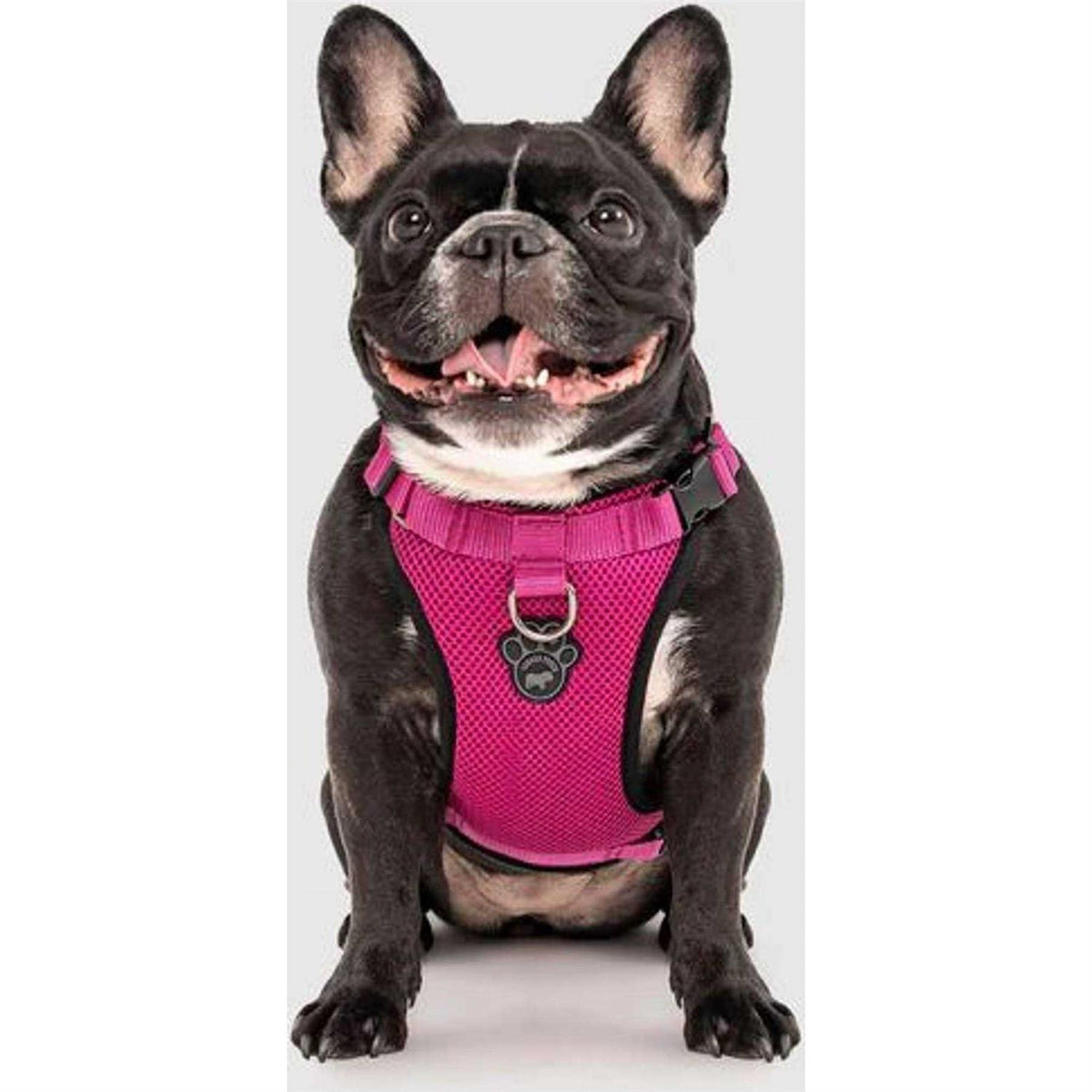 Dog Harness Q471