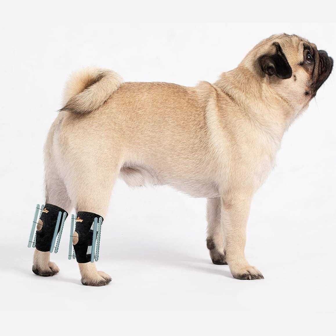 Short Rear Leg Support Small Dog Splint Braces Z801492