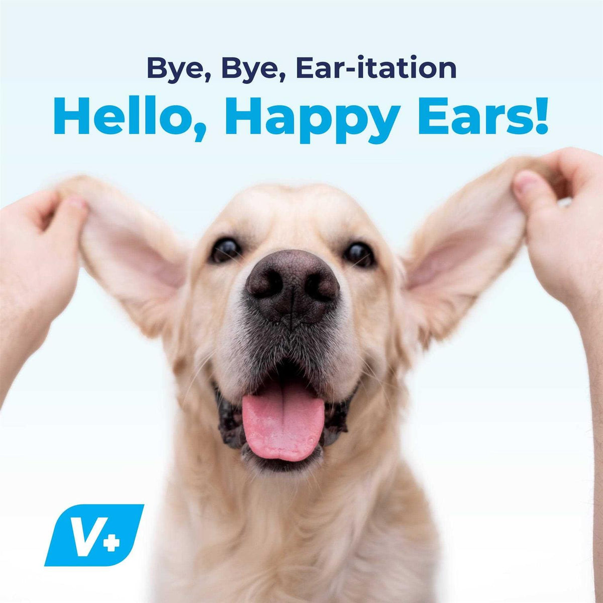 Ear Wipes O36087