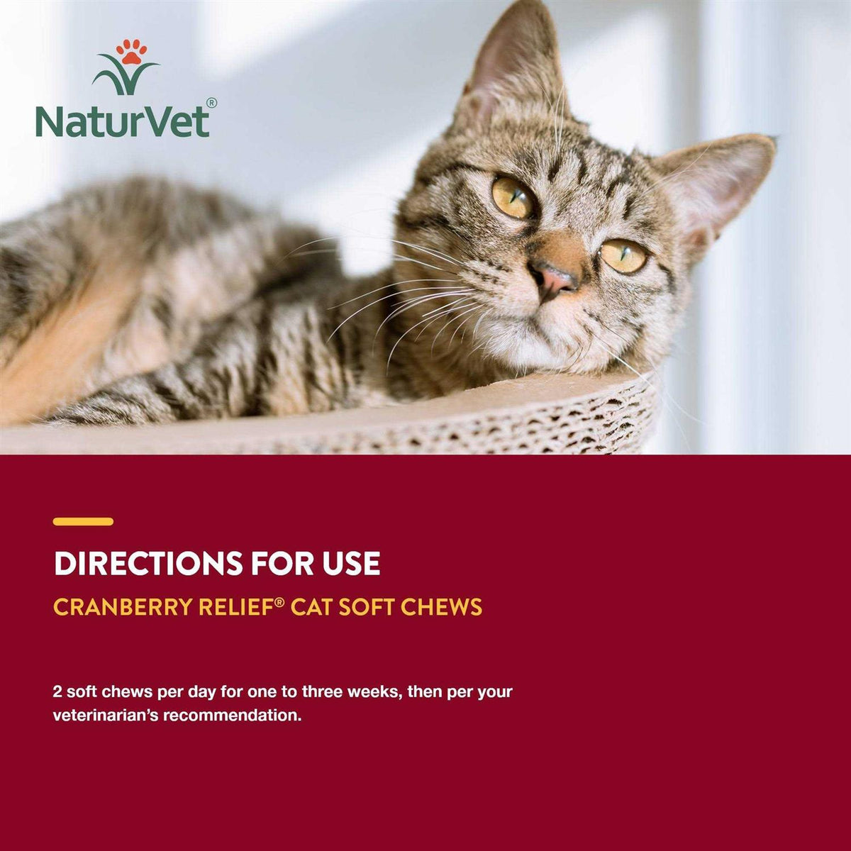 Cranberry Relief Plus Echinacea for Cats O58281