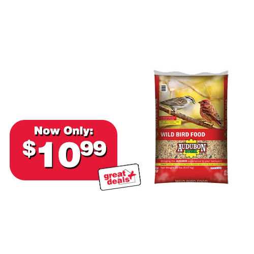Wild Bird Food F4937
